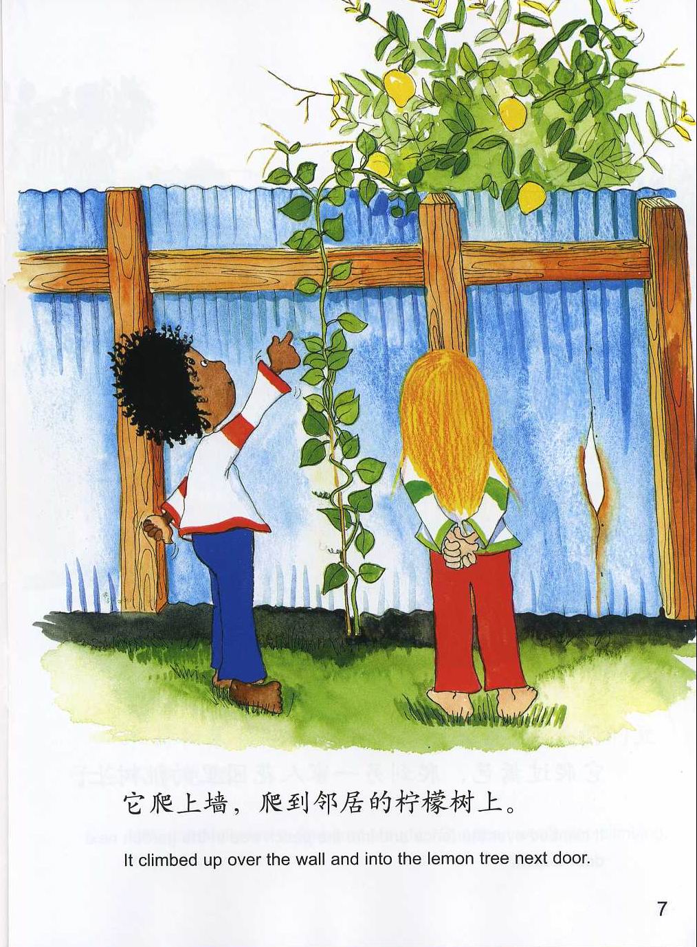 会爬的豆子 (08),绘本,绘本故事,绘本阅读,故事书,童书,图画书,课外阅读